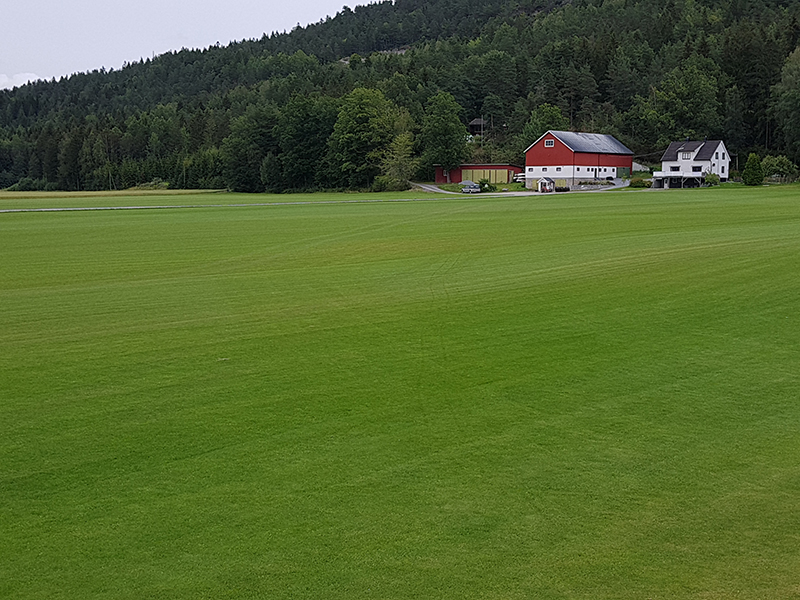 Bjerktvedt Ferdigplen